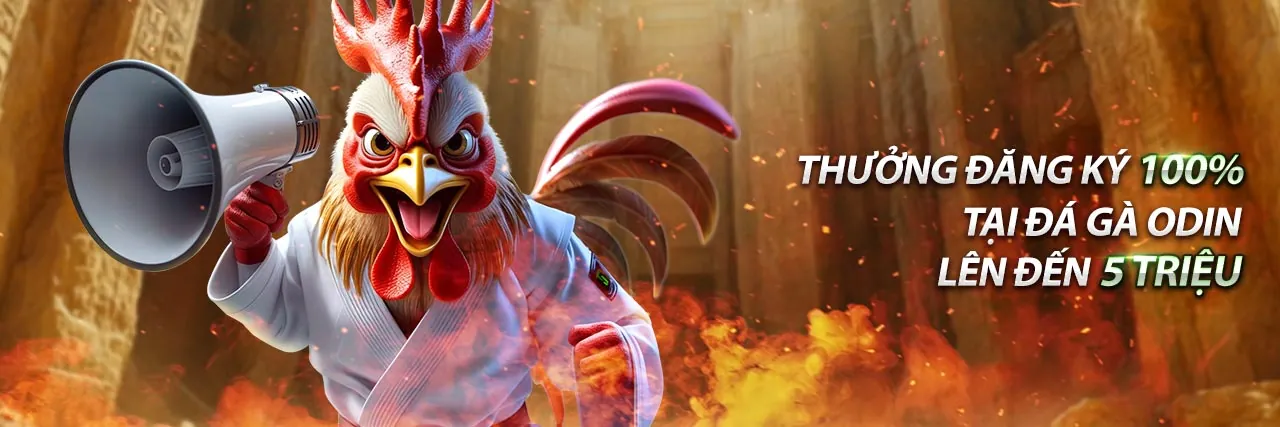 Hỗ trợ người chơi tại mu88 cado